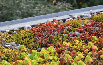 the cost of Chapelknowe green roof installation