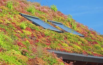 Chapelknowe living roof systems