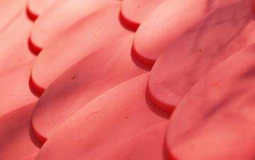 Chapelknowe plastic roof costs